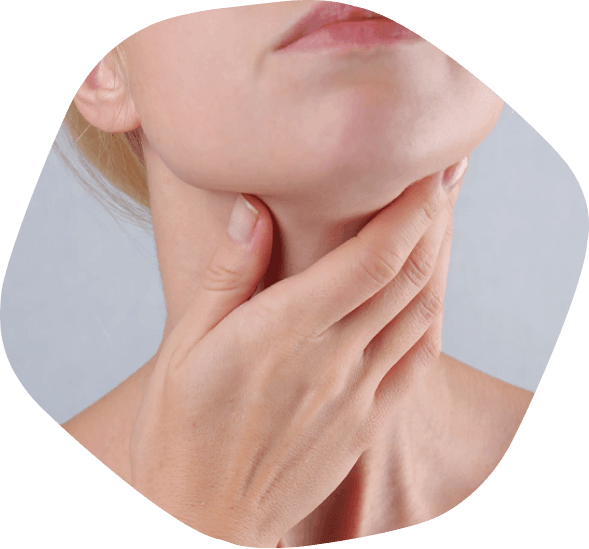 bpc 157 and hypothyroidism Bisphenol A and its analogues in thyroid diseases: Evidence from  dysfunction, autoimmunity, and cancer